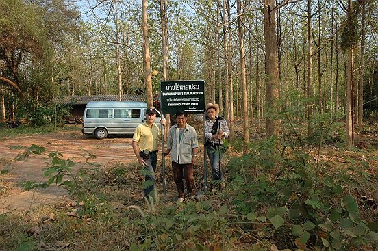 teak plantation promoted through RFD